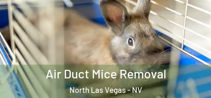  Air Duct Mice Removal North Las Vegas - NV