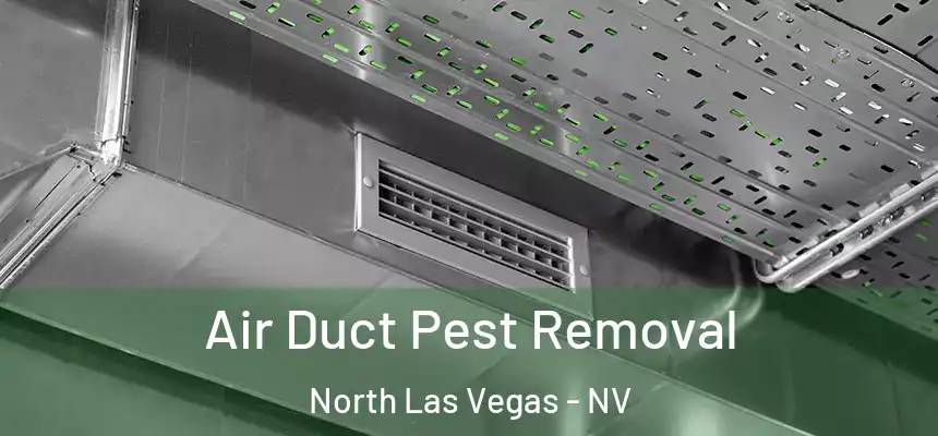 Air Duct Pest Removal North Las Vegas - NV
