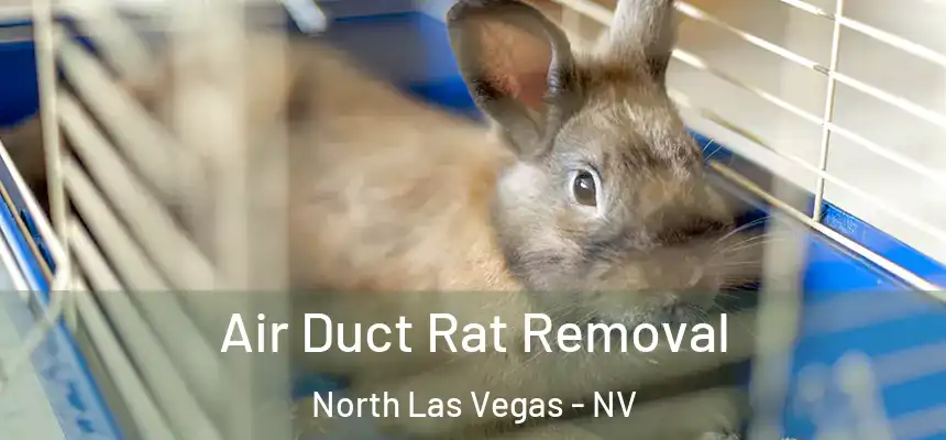 Air Duct Rat Removal North Las Vegas - NV