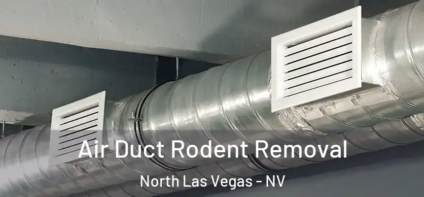  Air Duct Rodent Removal North Las Vegas - NV