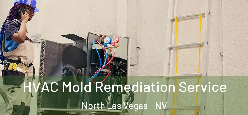  HVAC Mold Remediation Service North Las Vegas - NV