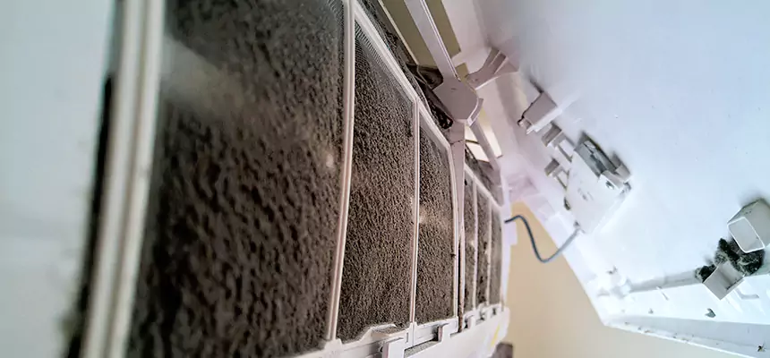 Preventive Air Duct Bacteria Removal in North Las Vegas