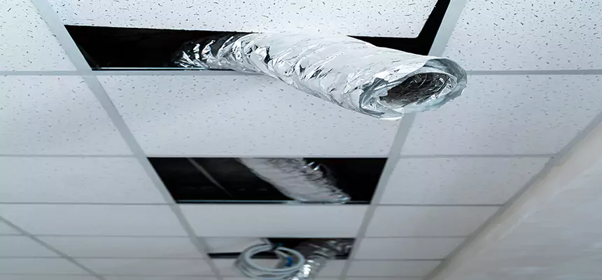 Affordable HVAC Sanitizing After Pest Removal in North Las Vegas