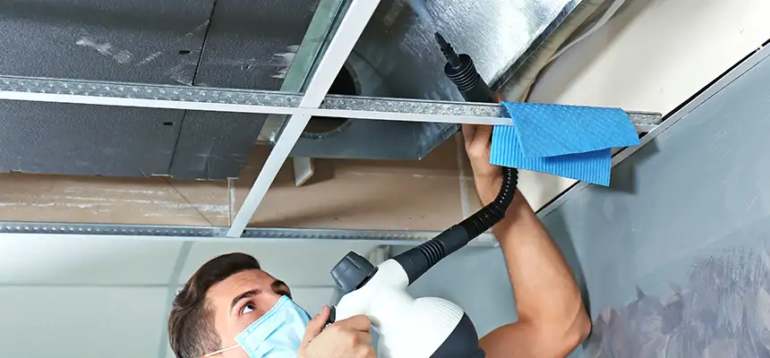 Our Air Duct Rodent Removal Services in North Las Vegas, NV