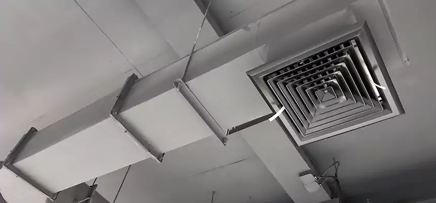 Our Pest Removal From Ducts Services in North Las Vegas, NV