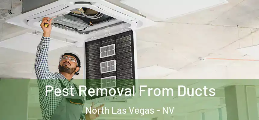  Pest Removal From Ducts North Las Vegas - NV