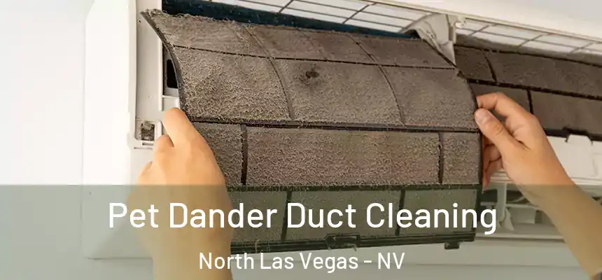  Pet Dander Duct Cleaning North Las Vegas - NV