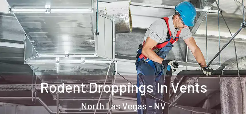 Rodent Droppings In Vents North Las Vegas - NV
