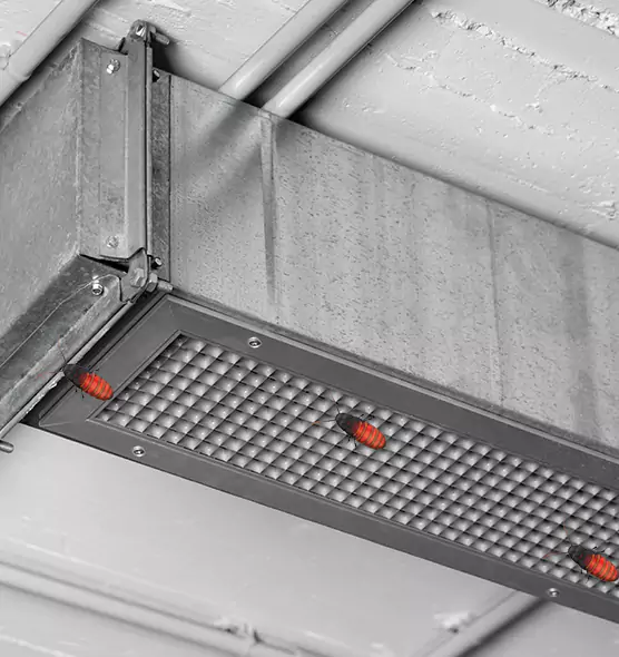 Affordable Insect Removal from Air Ducts in North Las Vegas, NV