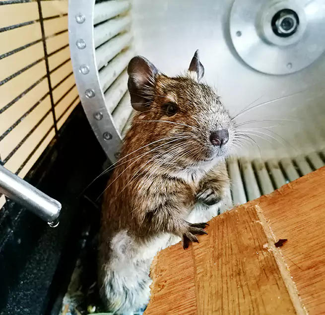 Why Homeowners & Businesses Trust Us North Las Vegas, NV